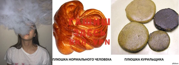 стафф Арсеньев