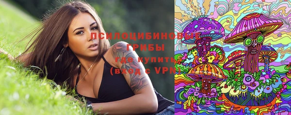круглые Алексин