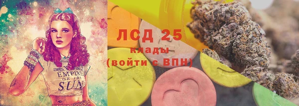 стафф Арсеньев