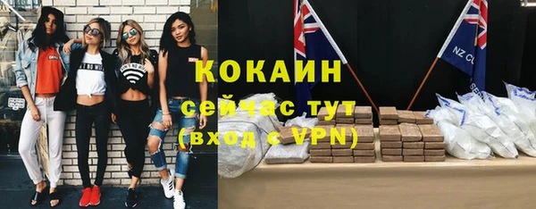 дмт Аркадак