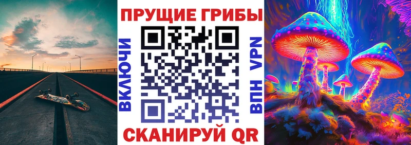 Псилоцибиновые грибы Cubensis  мега   Николаевск-на-Амуре  даркнет сайт 